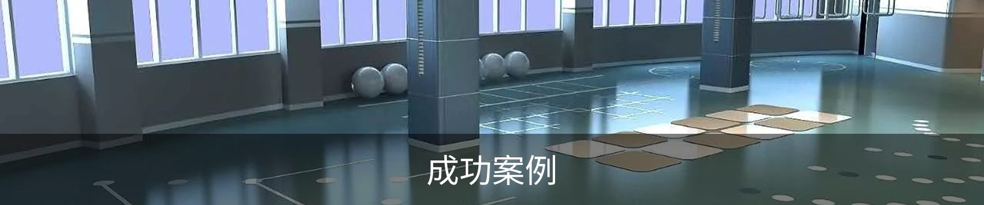 成功案例